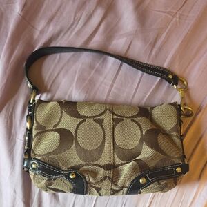 Stylish Brown and Black Women's Bag